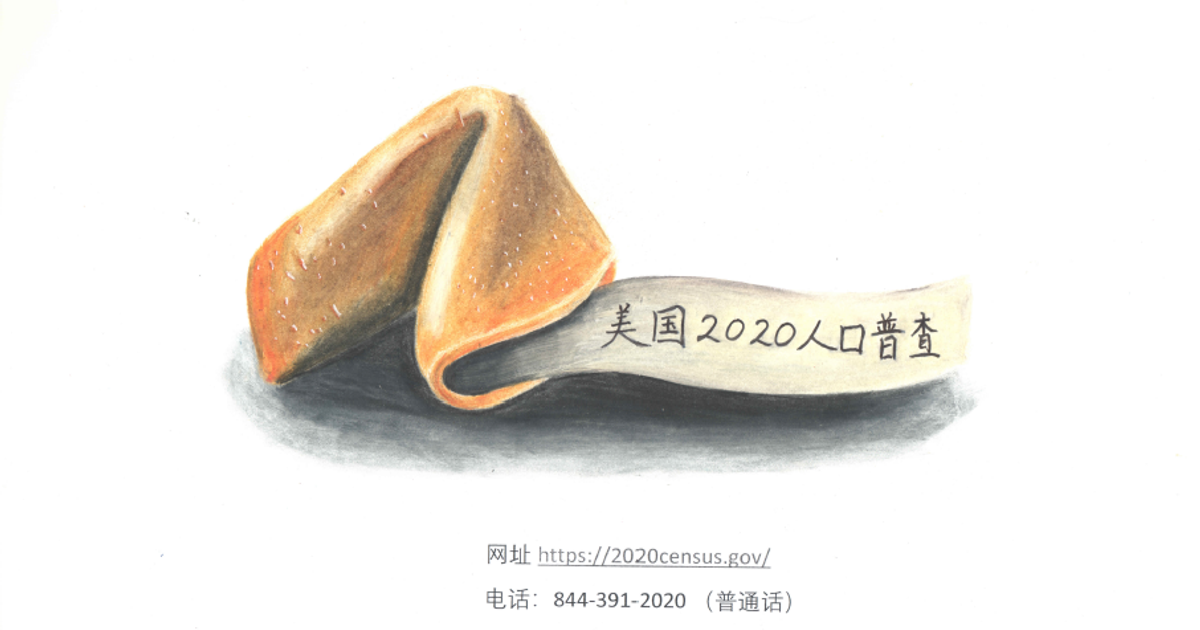 2020人口普查宣传画大赛获奖名单